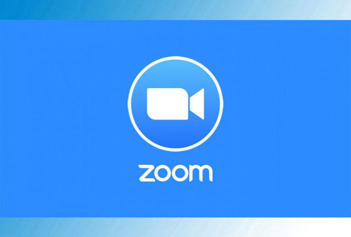 Zoom-конференция. &laquo;Волонтёры культуры&raquo;